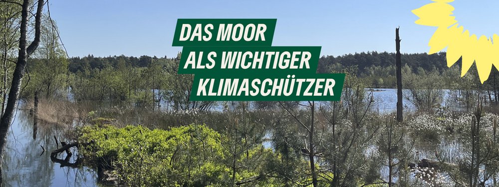 Das Moor als wichtiger Klimaschützer